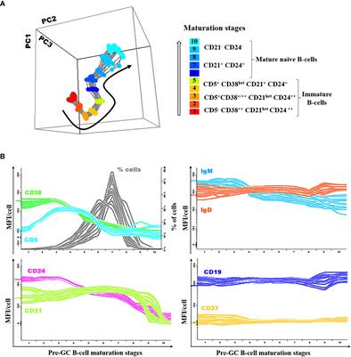 Dissection of the Pre-Germinal Center B-Cell Maturation Pathway in Common Variable Immunodeficiency Based on Standardized Flow Cytometric EuroFlow Tools